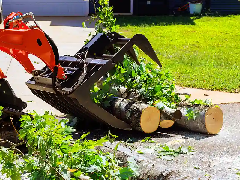 Machine picking up tree branches